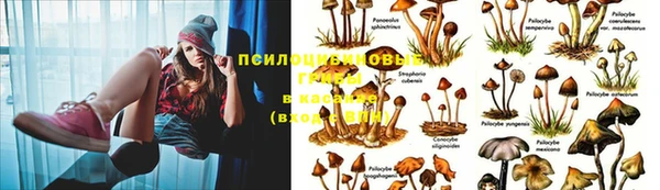 2c-b Зерноград