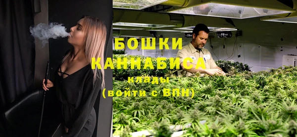 гидра Зеленодольск