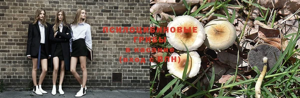 гидра Зеленодольск