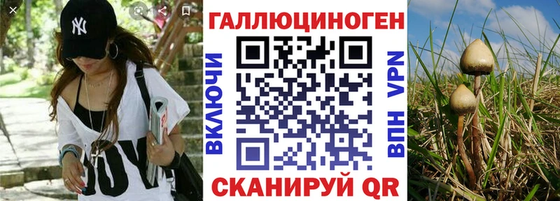 Галлюциногенные грибы ЛСД  Купить закладки  Малмыж 